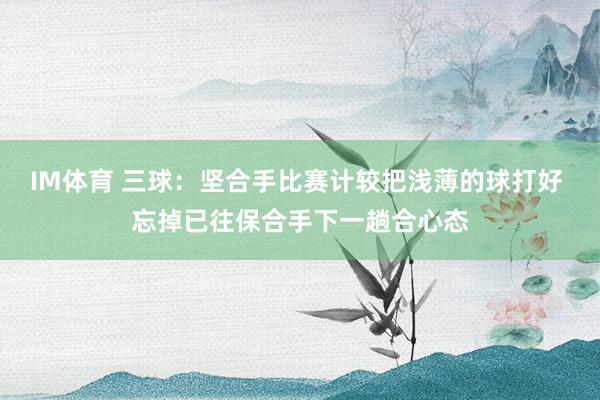 IM体育 三球：坚合手比赛计较把浅薄的球打好 忘掉已往保合手下一趟合心态