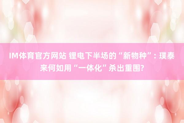 IM体育官方网站 锂电下半场的“新物种”: 璞泰来何如用“一体化”杀出重围?