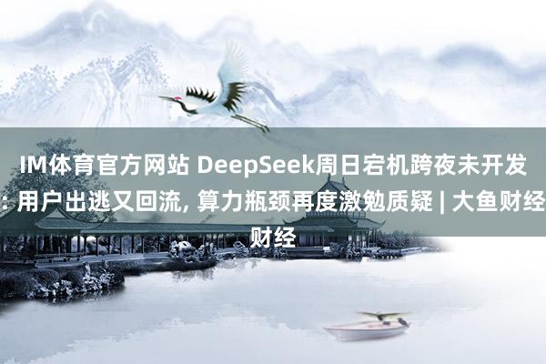 IM体育官方网站 DeepSeek周日宕机跨夜未开发: 用户出逃又回流， 算力瓶颈再度激勉质疑 | 大鱼财经