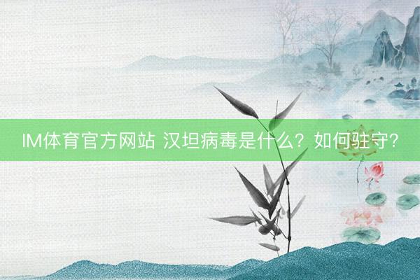 IM体育官方网站 汉坦病毒是什么？如何驻守？