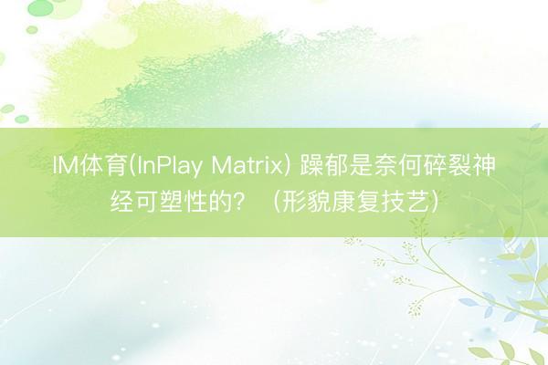 IM体育(InPlay Matrix) 躁郁是奈何碎裂神经可塑性的？（形貌康复技艺）