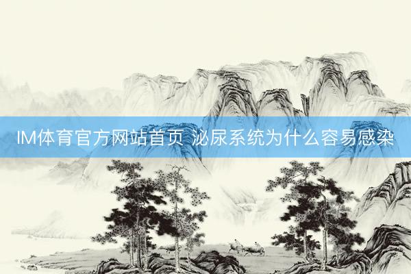 IM体育官方网站首页 泌尿系统为什么容易感染