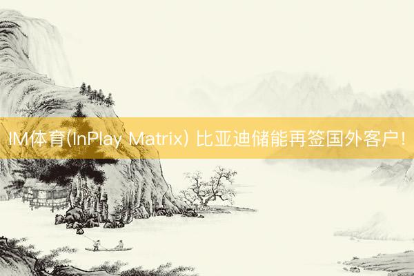 IM体育(InPlay Matrix) 比亚迪储能再签国外客
