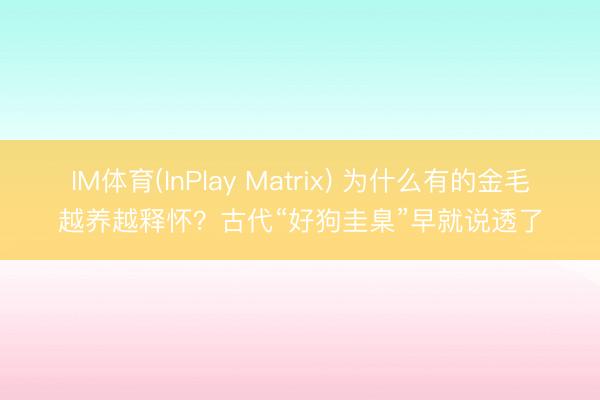 IM体育(InPlay Matrix) 为什么有的金毛越养越释怀？古代“好狗圭臬”早就说透了