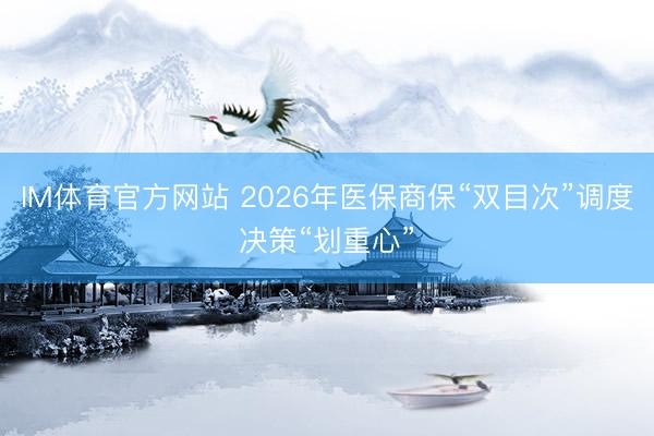 IM体育官方网站 2026年医保商保“双目次”调度决策“划重心”
