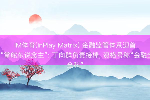 IM体育(InPlay Matrix) 金融监管体系迎首位女“掌舵东说念主”: 丁向群负责接棒， 资格号称“金融全科”