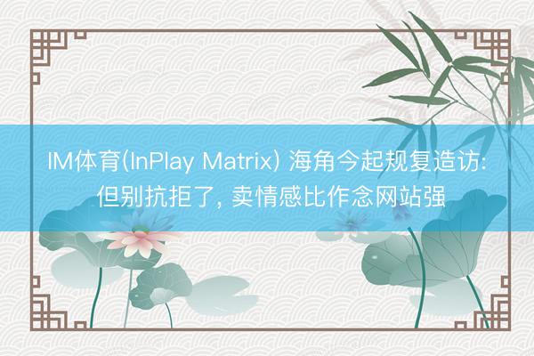 IM体育(InPlay Matrix) 海角今起规复造访: 但别抗拒了， 卖情感比作念网站强