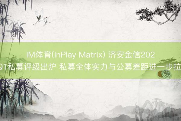 IM体育(InPlay Matrix) 济安金信2026Q1