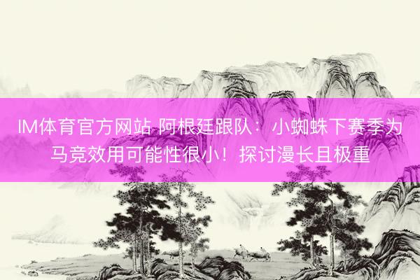 IM体育官方网站 阿根廷跟队：小蜘蛛下赛季为马竞效用可能性很小！探讨漫长且极重