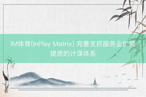 IM体育(InPlay Matrix) 完善支抓服务业扩能提质的计谋体系