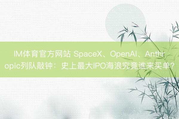 IM体育官方网站 SpaceX、OpenAI、Anthropic列队敲钟：史上最大IPO海浪究竟谁来买单？