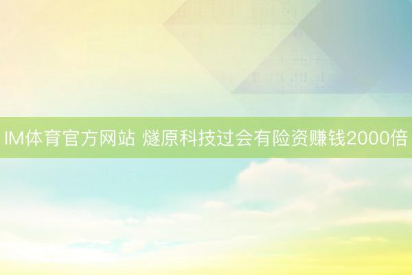 IM体育官方网站 燧原科技过会有险资赚钱2000倍