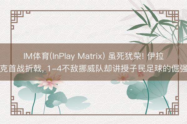 IM体育(InPlay Matrix) 虽死犹荣! 伊拉克首战折戟, 1-4不敌挪威队却讲授子民足球的倔强