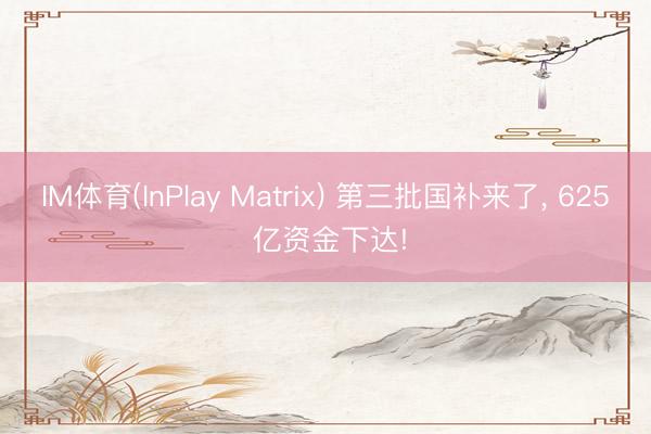 IM体育(InPlay Matrix) 第三批国补来了, 625 亿资金下达!